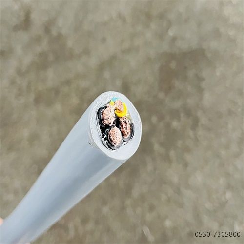 ÌØÖÖµçÀ³§¼Ò44.jpg ÌØÖÖµçÀ³§¼Ò44.jpg