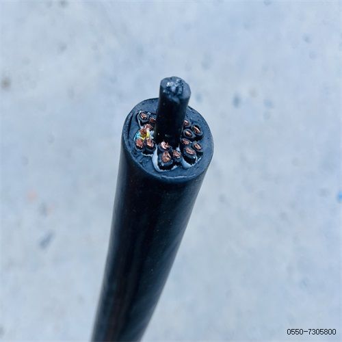 ֵ³249.jpg