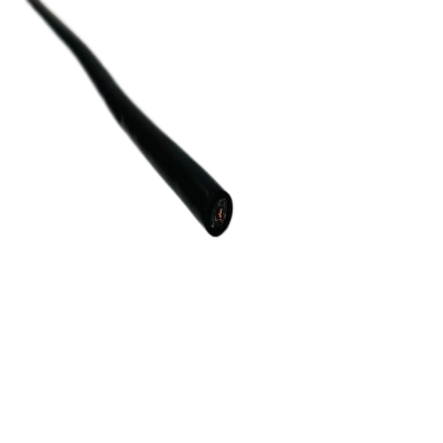 IMG_0868.png