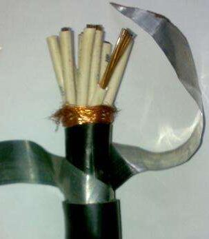 ׾(RAYBET)ѵӾƽ̨