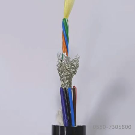 ׾(RAYBET)ѵӾƽ̨