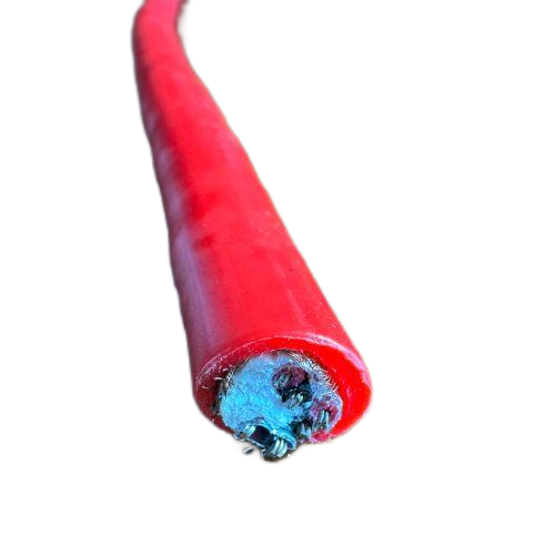 ׾(RAYBET)ѵӾƽ̨