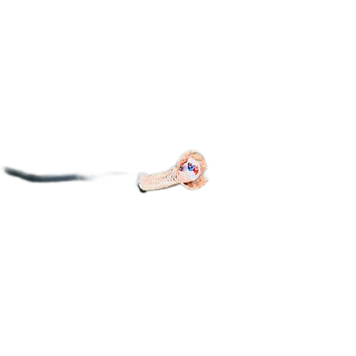 ׾(RAYBET)ѵӾƽ̨