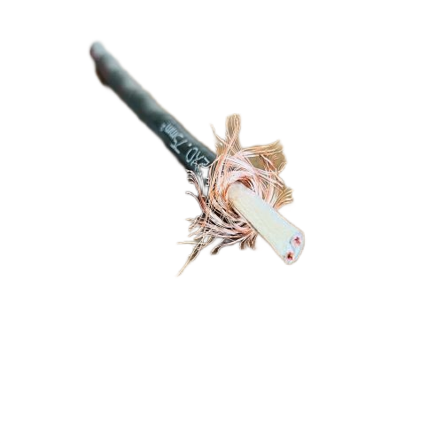 ׾(RAYBET)ѵӾƽ̨