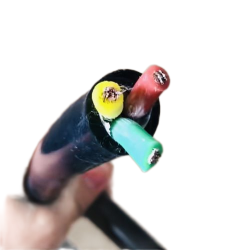 ׾(RAYBET)ѵӾƽ̨