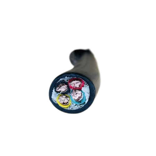 ׾(RAYBET)ѵӾƽ̨