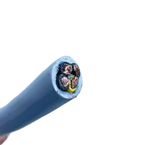 ׾(RAYBET)ѵӾƽ̨